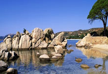 欧宝App- 德约科维奇赛事官方发布赛事规则更新新规，篮网争议不断！